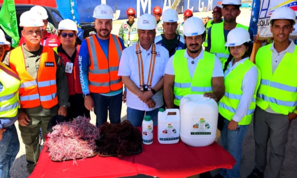 Más de 100 toneladas métricas de algas marinas son exportados a Japón y Chile