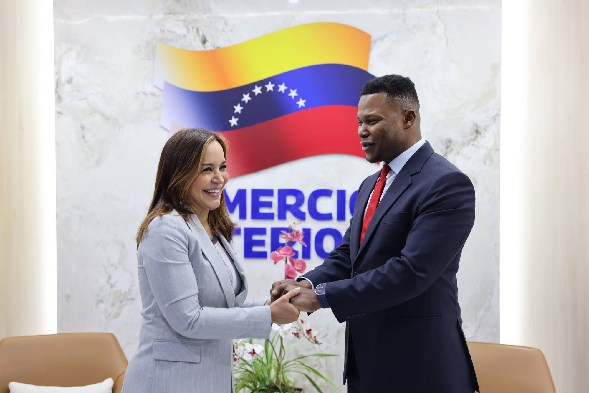 Ministra Godoy se reunió con presidente de la Cámara Africana de Energía