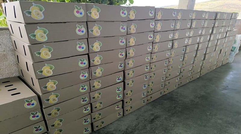 Lara envía 1.5 toneladas de frutas premium a España