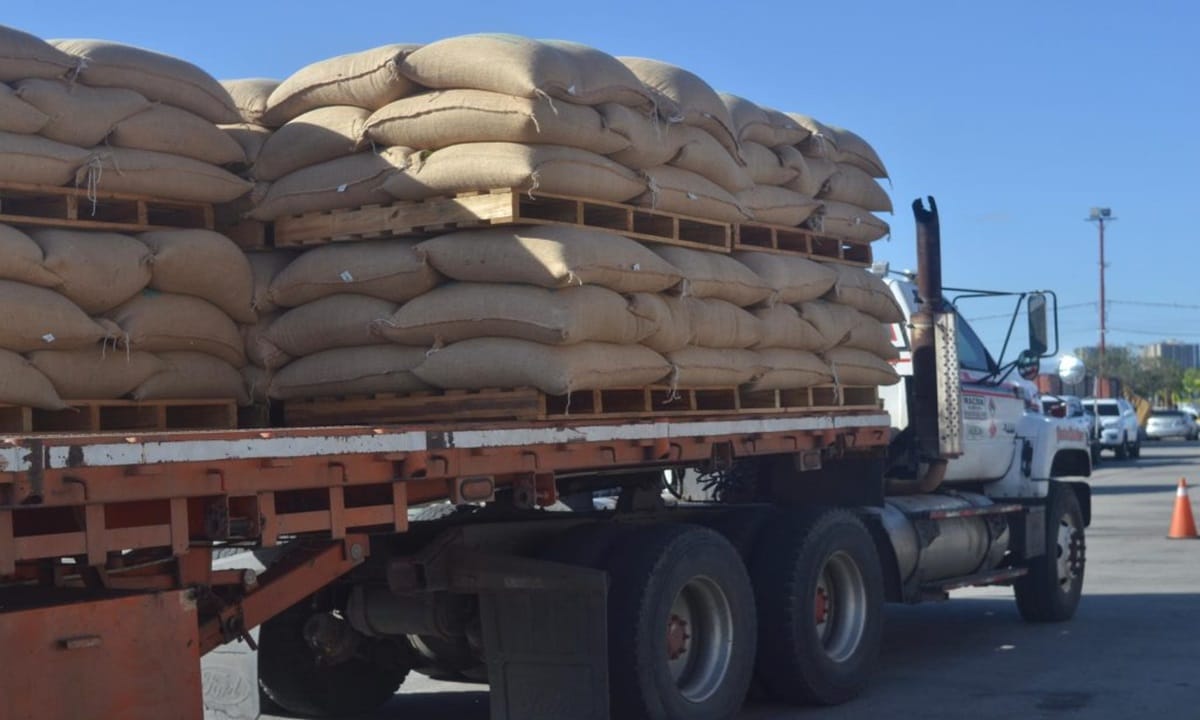 Lara exporta siete contenedores de café verde a Estados Unidos