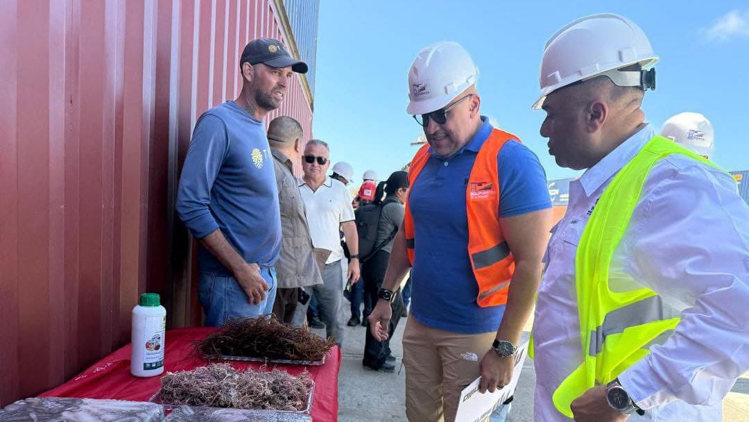 Venezuela exporta 306 toneladas de algas