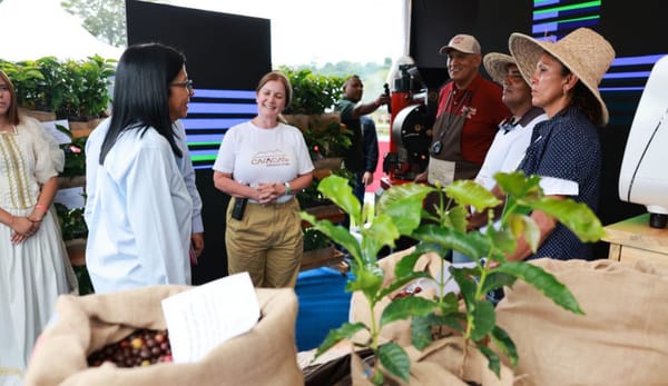 Producción de café aumentó 55% y se exporta a 16 países del mundo