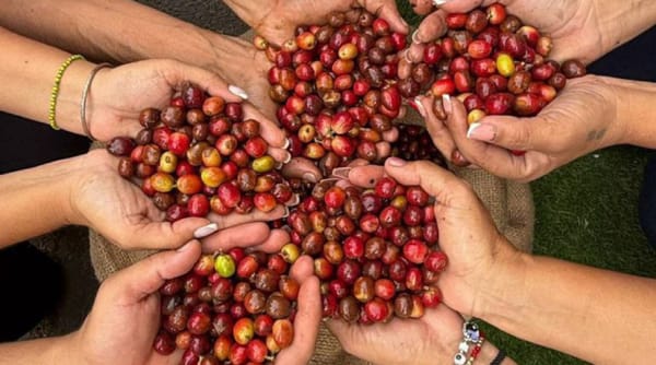 Jefe de Estado: Construimos una nueva economía que nos hace un país invencible