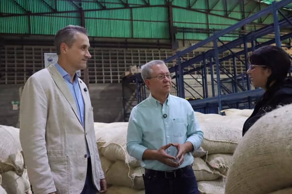 Venezuela consolida su liderazgo cacaotero con un crecimiento exponencial de 111% en exportación