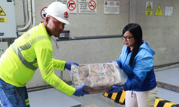 Más de 100 mil kilos de pulpo se exportaron desde La Guaira hacia Europa